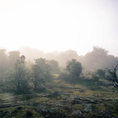brume tournage skyvideo drones