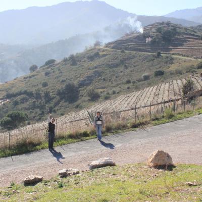 skyvidie-drones collioure