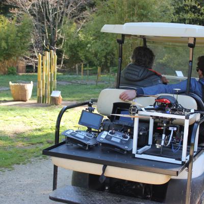 voiture bambouseraie