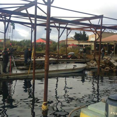 Étang de Thau Boxeur 7