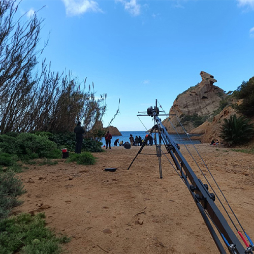 Grande grue de plateau